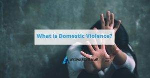 What is Domestic Violence